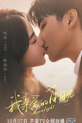 独立站seo优化测评